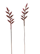 Leaf Branch