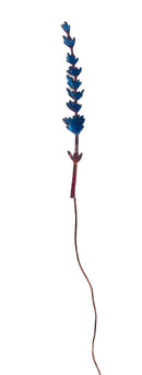 Lavender Stems The Woodlands Collection