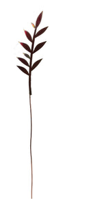 Leaf Branch