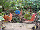 Snails The Woodlands Collection