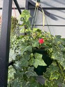 Small Enamel Copper Ladybugs