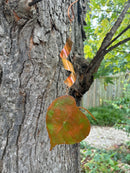 Leaf Spinners, The Woodland Collection