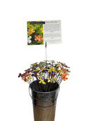 Fall 2026 Best Seller Bucket Special