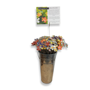 Fall 2026 Best Seller Bucket Special