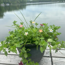 Small Copper Flower Stem Plant Stake Pick – Colorful MI Made Garden Art