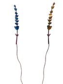 Lavender Stems The Woodlands Collection