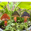 Toadstools The Woodland Collection Assortment