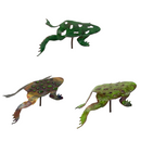 Frogs, The Woodlands Collection