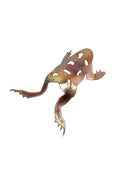 Frogs, The Woodlands Collection