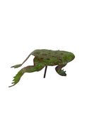 Frogs, The Woodlands Collection