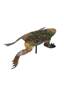 Frogs, The Woodlands Collection