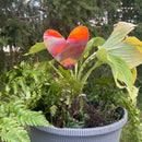 NEW Natural Copper Porch Pot Stake - Heart