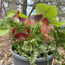 NEW Natural Copper Porch Pot Stake - Whale