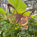 NEW Natural Copper Porch Pot Stake - Butterfly