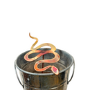 Copper Enamel Snakes