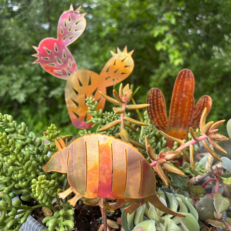 *NEW* Natural Copper Armadillo