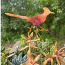 *NEW* Natural Copper Roadrunner