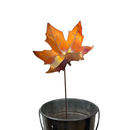NEW Natural Copper Porch Pot Stake - Maple Leaf