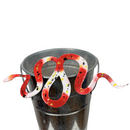 Copper Enamel Snakes