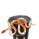 Copper Enamel Snakes