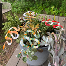 Copper Enamel Snakes