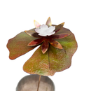 Lilypad - Porcelain The Woodland Collection