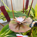 Lilypad - Porcelain The Woodland Collection