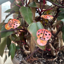 Medium Natural Copper Ladybugs
