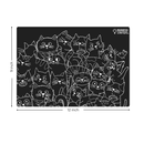 *NEW* Reusable Coloring Cat/Dog Travel Mat Set