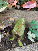 Frogs, The Woodlands Collection
