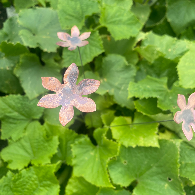Medium Copper Flower- Bare