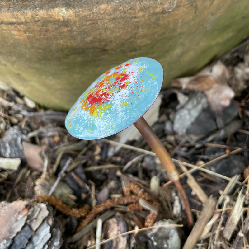 Copper Enamel Mushroom by color