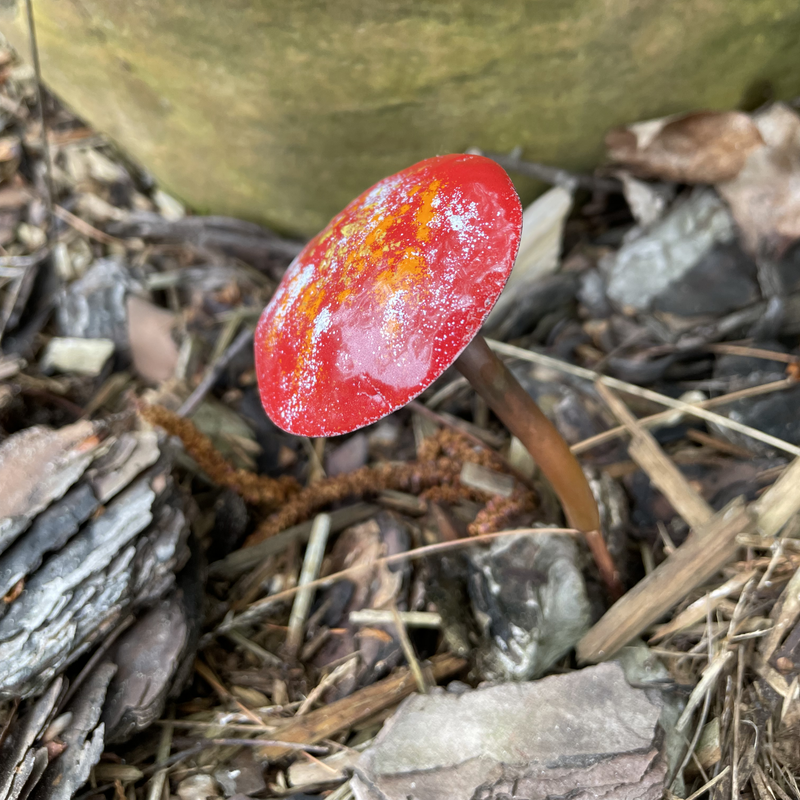 Copper Enamel Mushroom by color