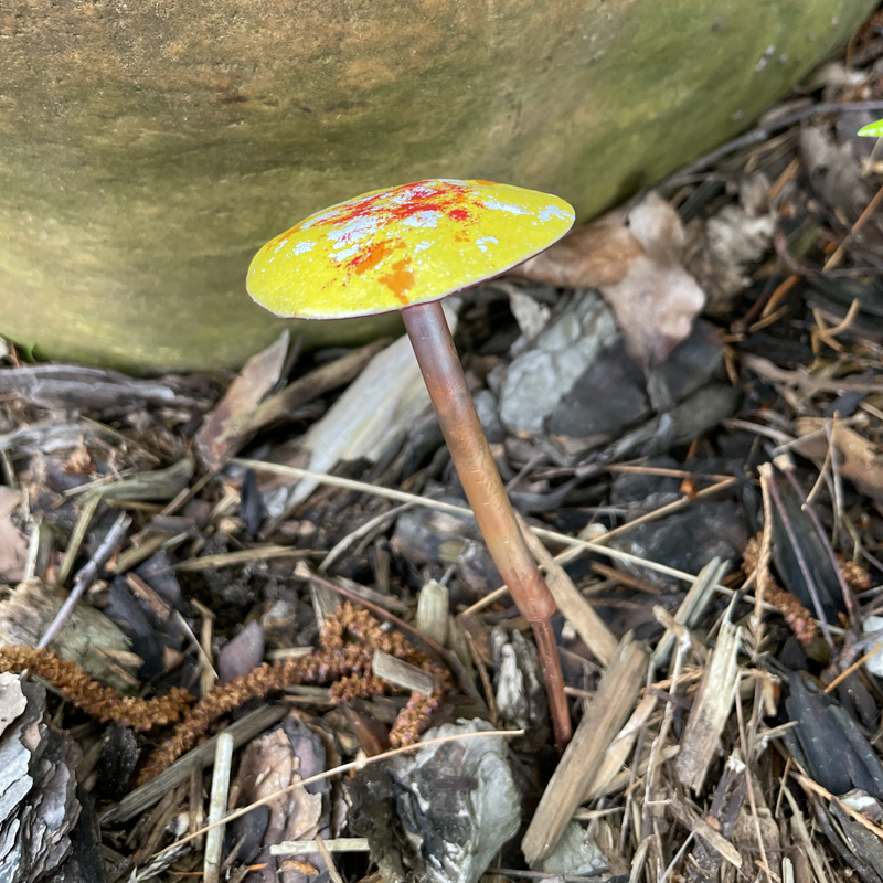 Small Enamel Mushrooms