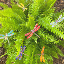 Medium Copper dragonfly Stem Plant Stake Pick – Colorful MI Made Garden Art