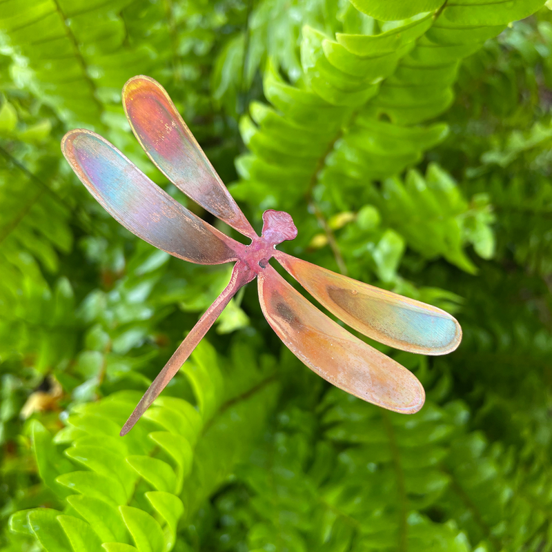 Medium Copper Dragonflies- Bare
