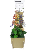 Clever Goods Starter Display Program