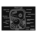 Chalkboard Placemat Plant Cell