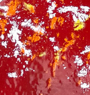 Copper Enamel Mushroom by color